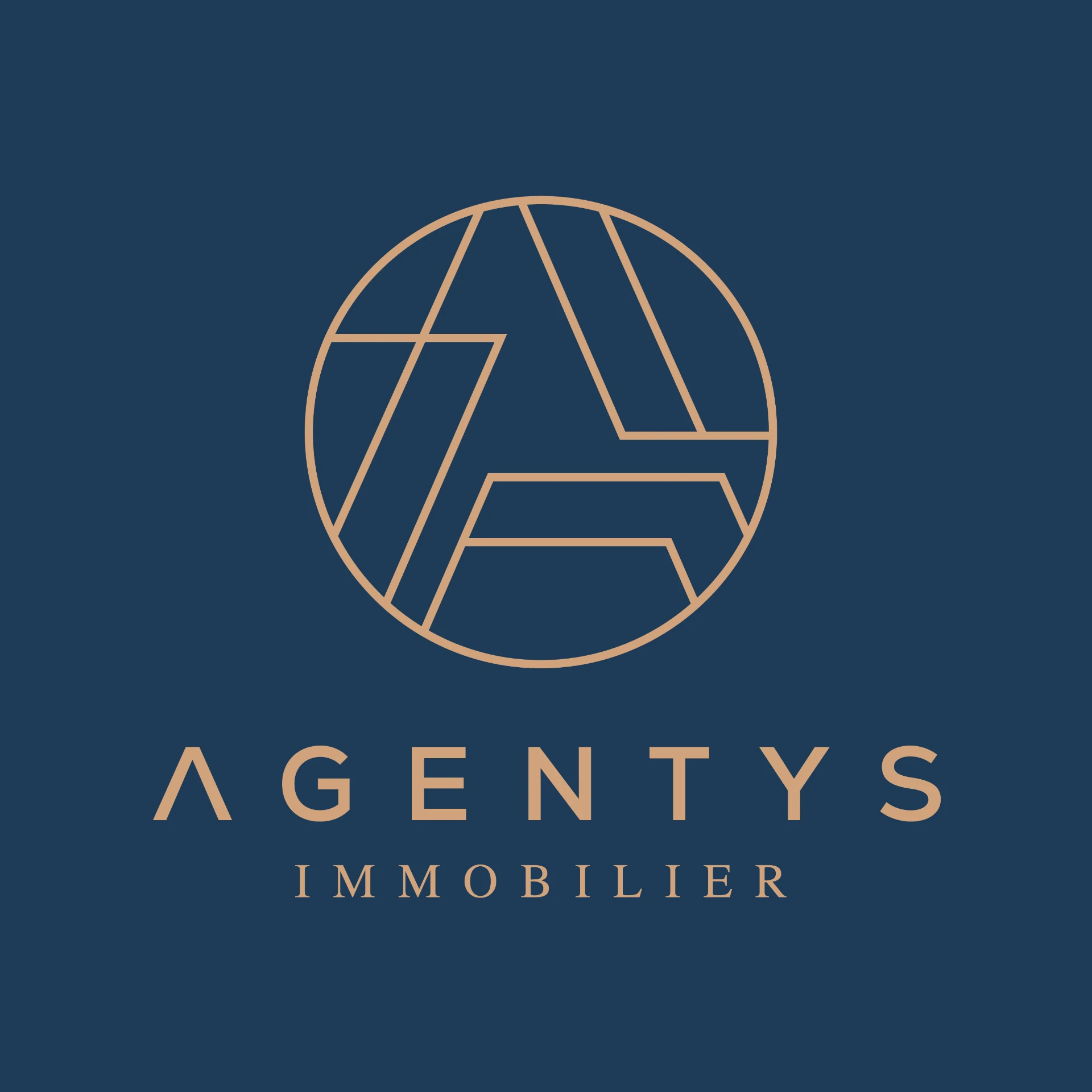 Logo AGENTYS